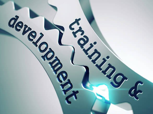 Training and Development